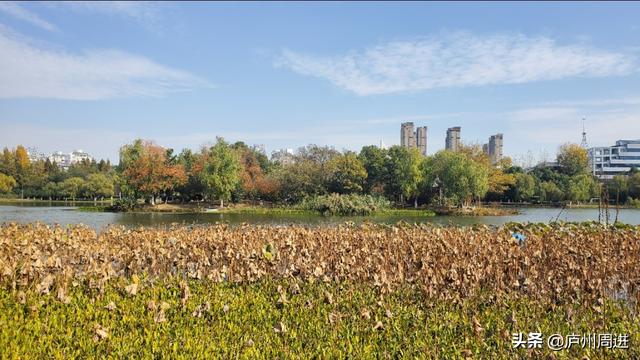 人生九言经典语录，我自己的人生，我想自己决定