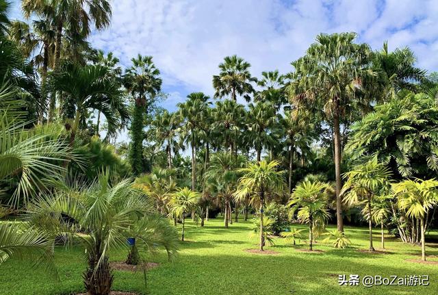 云南洱海必去景点推荐，莫道高原少美景