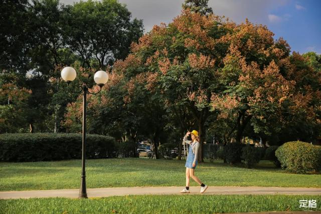 莲花山公园 网红打卡地，莲花山公园又红了