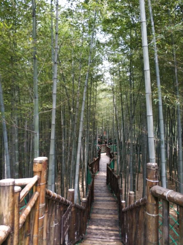 宜兴旅游攻略自助游推荐，满意的宜兴深度游