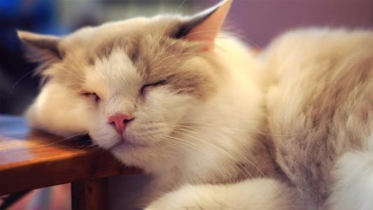 高原反应吃什么药，旅途中出现高原反应怎么缓解（去高海拔地区您要注意高原反应）