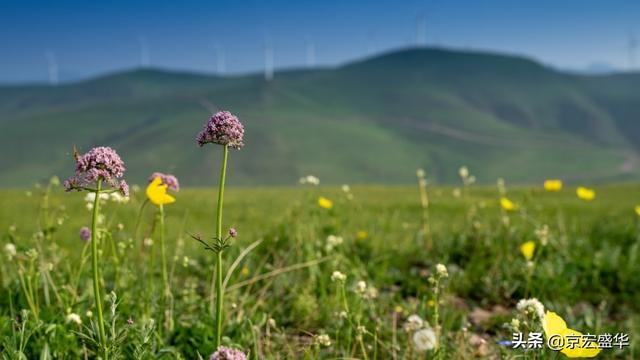 承德坝上草原全景，承德如画美景丰宁坝上草原