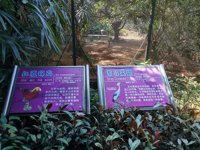 广州动物园游玩攻略，广州动物园玩转攻略（广州五一出行旅游攻略之广州动物园）