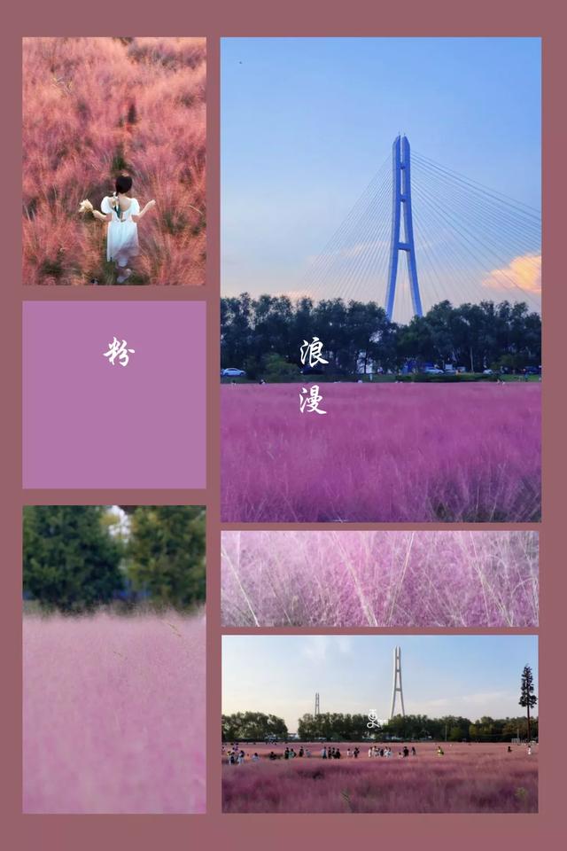 南京国庆活动推荐，南京国庆假期游玩优惠