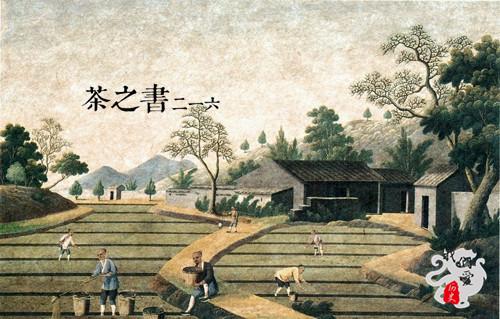 这部法国带货神剧，十部必看国外宫廷剧