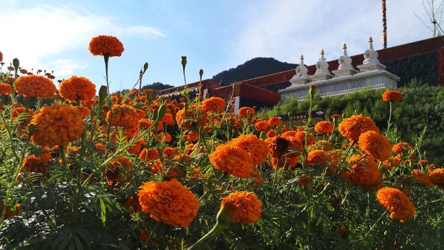 内蒙古旅游景点，内蒙有什么好玩的旅游景点