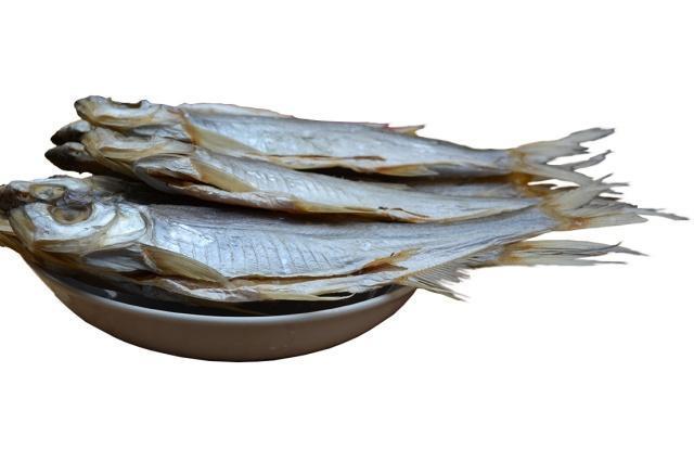 淡水鱼的种类图片，最常见的淡水鱼有哪些