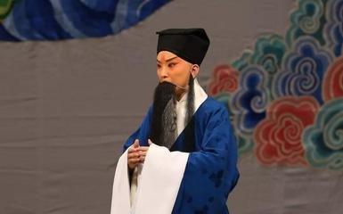 怎样评价王珮瑜，王珮瑜的坎坷经历