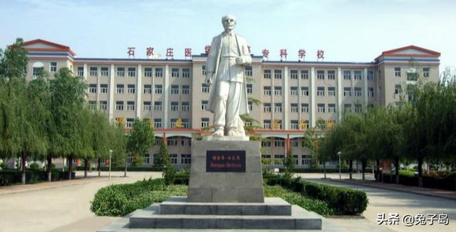 沧州职业技术学院，沧州职业技术学院排行河北（河北2022专科一批志愿分数线疯了）