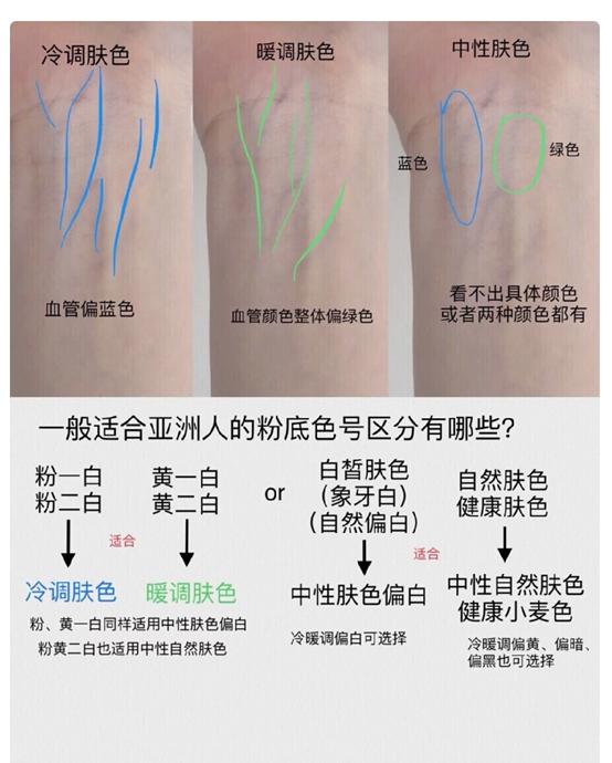 粉底有什么不一样，粉底百科大全
