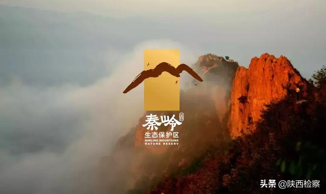山獐与麂子区别，周至检察守护秦岭