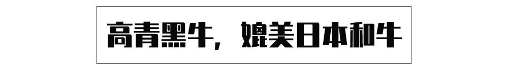 淄博当地特色美食，一座宝藏美食之城