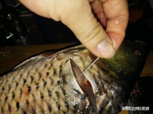 怎样做鲤鱼汤好喝又不腥，做清炖鲤鱼记住这3个关键汤白肉嫩