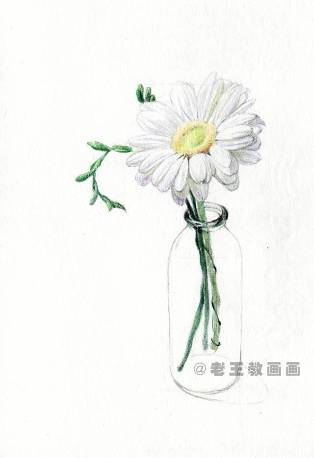 菊花又简单又好看怎么画，菊花画法及步骤