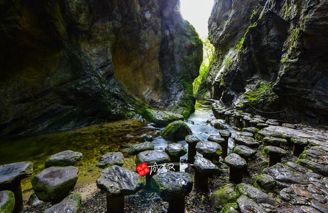 低山区特色是水，鸡笼山特点（牛背梁：低山区特色是水）