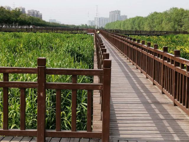 万泉河游览区游玩攻略图，休闲运动的好去处