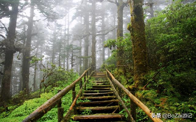 峨眉山乐山旅游，乐山攻略必去十大景点（ChatGPT五分钟整理一套乐山/峨眉山旅游攻略）