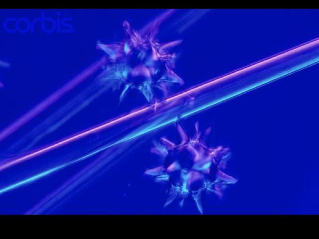 如果这个世界上真的存在硅基生物，科学家推测硅基生命