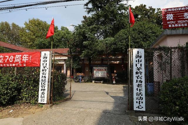 上海小时候游记，儿时记忆里的上海