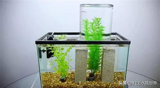自制水循环鱼缸用，自制鱼缸水循环原理（巧用物理原理做鱼缸）