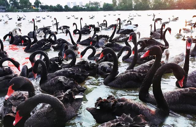 南昌旅游攻略必玩的景点，江西南昌旅行攻略