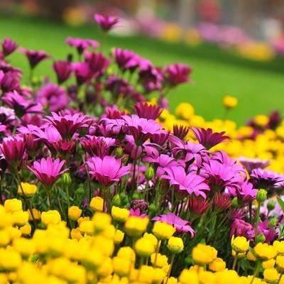 中年女性微信头像，中年女性的微信头像应该选哪些