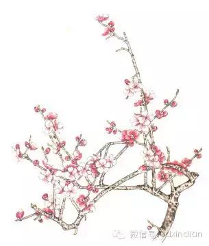 国画墨桃花画法教程，大家一起学画国画