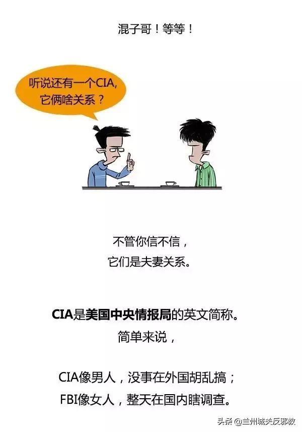 cia和fbi，cia和fbi哪个更强一点（美国芝加哥水域2年间发现16具遗体）