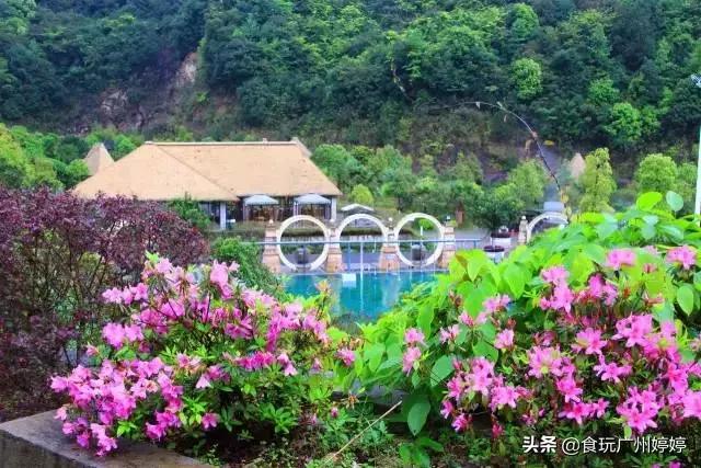 新丰云天海温泉，新丰云天海原始森林温泉套餐