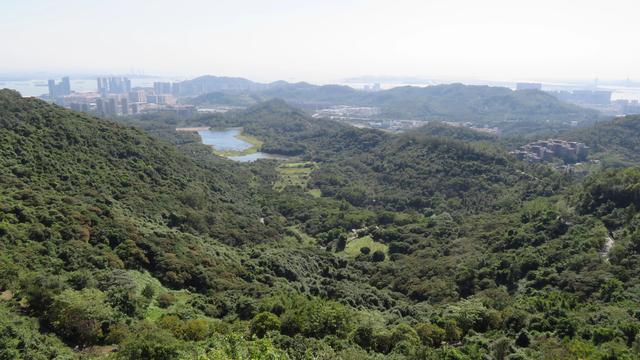 广州南沙湿地公园，广州南沙18涌湿地公园