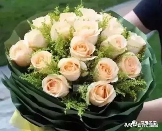 情人节送媳妇什么礼物今天情人节,520玫瑰送给群里朋友,祝你们情人节快乐,永远