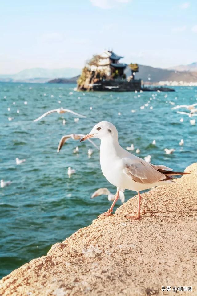 世界最美的地方，世界最美十大地方