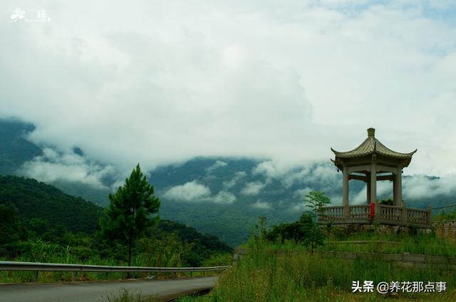 福建福州旅游攻略，福州旅游攻略自由行五日游（福建之福州游玩攻略）