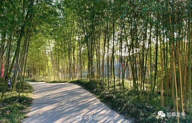 圣迹苍岩田园风光，邂逅最美下驾原