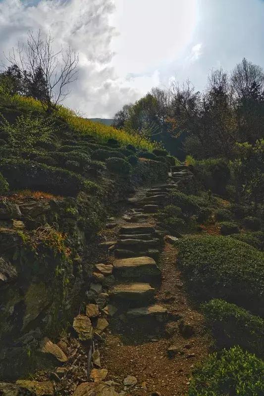 徽州古村落的风景，厚度旅行文山村