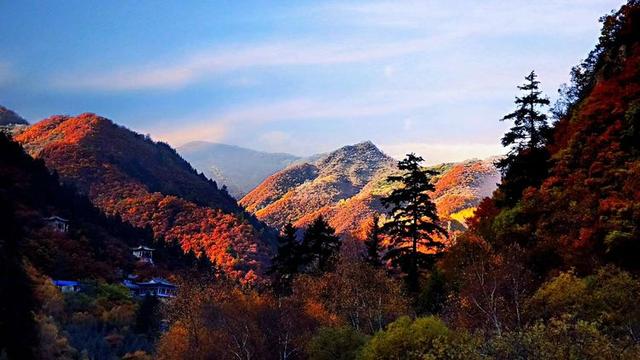 人间仙境满山红叶，原来是峨眉山的树叶红了……