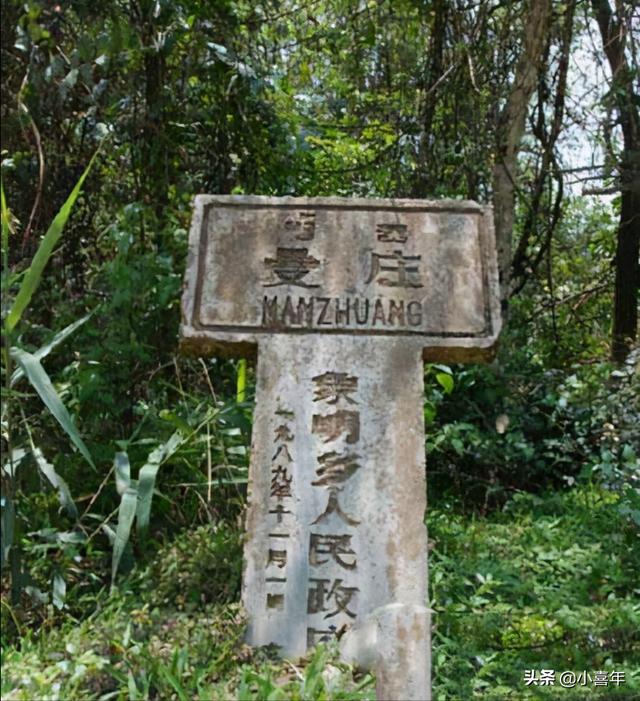 什么叫冰岛普洱茶茶语，为什么叫易武景迈