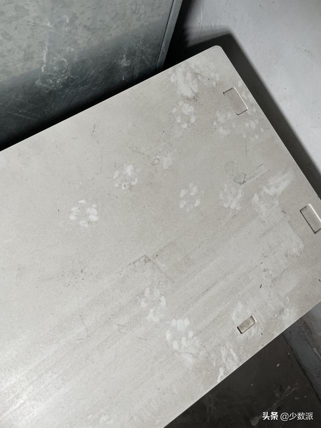 猫走丢了怎么办，猫咪走丢了怎么办快来看看吧