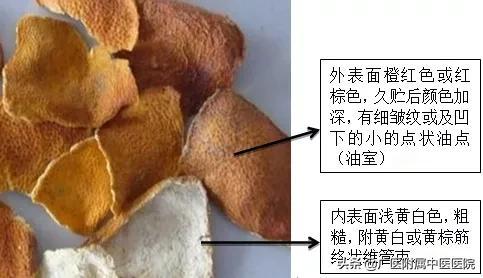 为什么三年的陈皮这么好，陈皮你“泡”对了吗