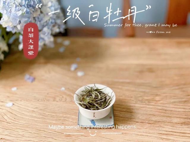 寿眉白茶怎么泡，如何冲泡白茶寿眉（图解白茶寿眉冲泡完整流程）