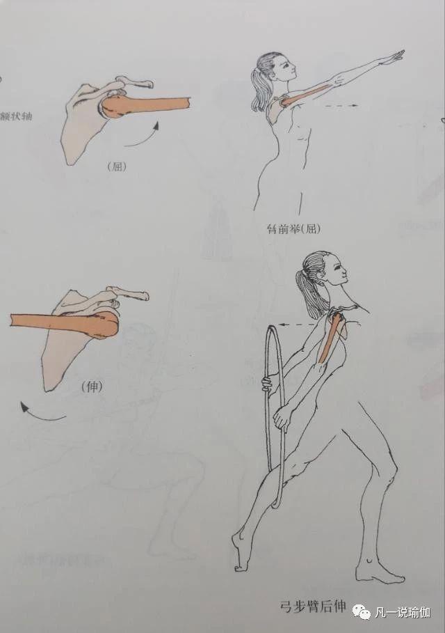 自己怎么开肩效果最好，上来就盲目开肩