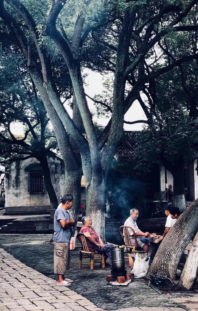 3月旅游的最佳地点，3月去什么地方旅游最好呢（三月份旅游一定要去的六个地方）