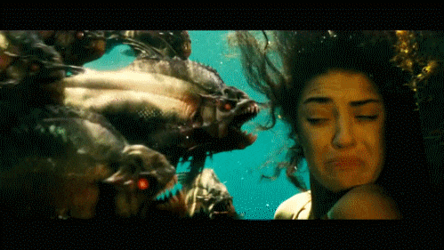 澳洲兔子是怎么泛滥的，看似人畜无害的小兔子