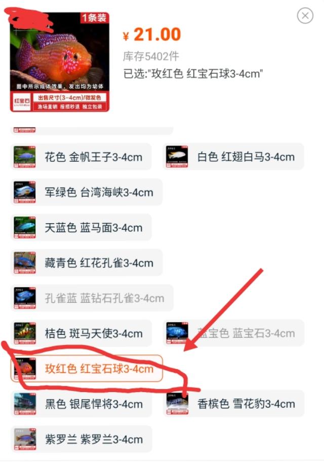 三湖慈鲷适合混养的鱼，几种常被误认为是三湖慈鲷的观赏鱼