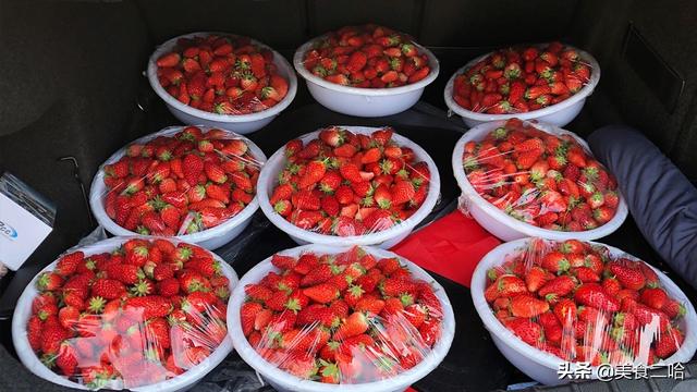 洗草莓要去蒂的正确清洗方法，草莓正确清洗方式
