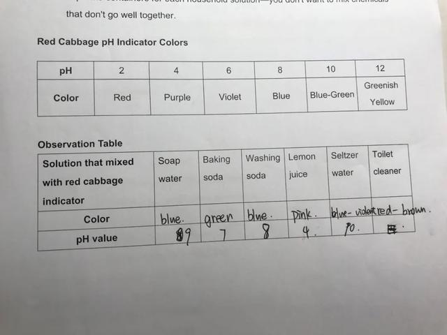 自制酸碱指示剂，自制酸碱指示剂实验家里（2021年中考化学二轮复习第7讲-常见的酸和碱、中和反应及溶液的pH）