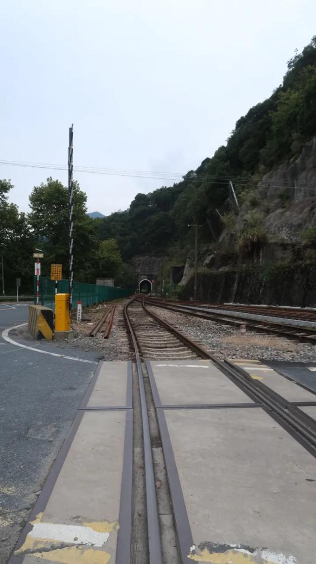 千岛湖旅游攻略，千岛湖旅游攻略最详细（去了不下十次千岛湖）