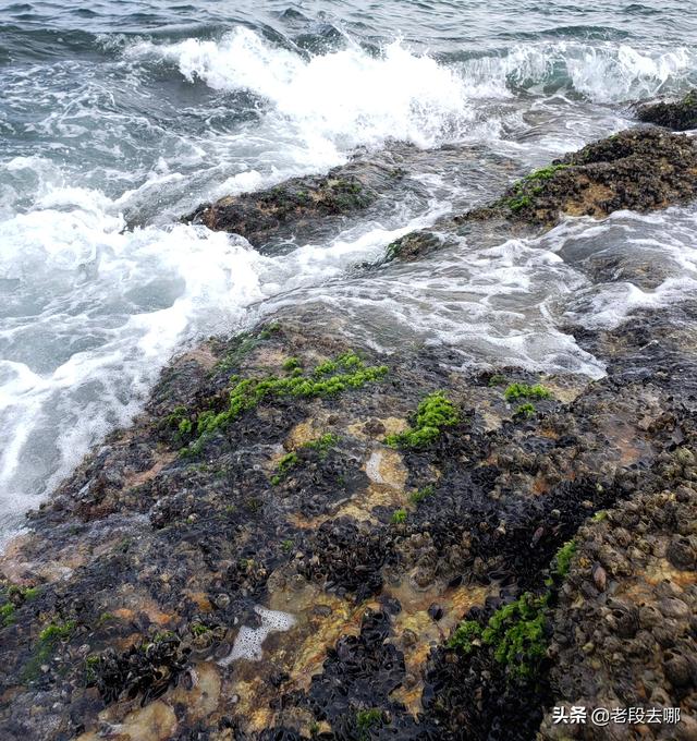 惠州附近的海滩景点，惠州南表山旁还有三个如此优美的野沙滩