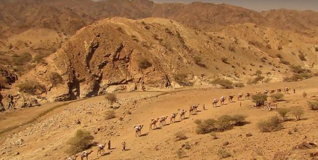 最耐热的非洲部落，非洲的地势特点和最大的沙漠