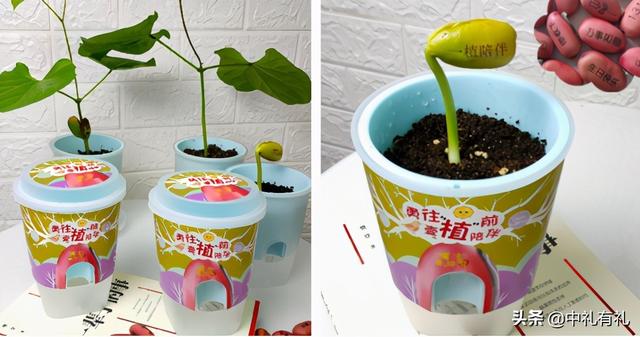 实用又有创意的礼物,有创意的小礼品